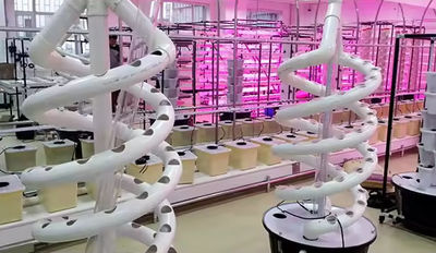 Jilin C-More Farming Technology Limited