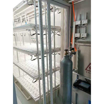 Élevage de conteneurs d'expédition Élevage hydroponique avec cadre en acier résistant à la corrosion