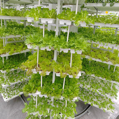 Agriculture verticale végétation suspendue Agriculture hydroponique intelligente