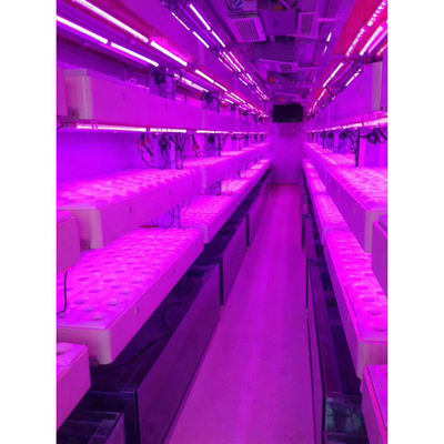 Système d'agriculture verticale hydroponique de culture intelligente