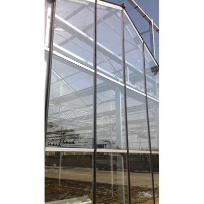 Agriculture Serre en verre à longue portée Serre hydroponique Blanc