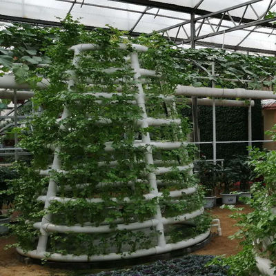 Tour hydroponique Jardin hydroponique Pousse de légumes Tour aéroponique