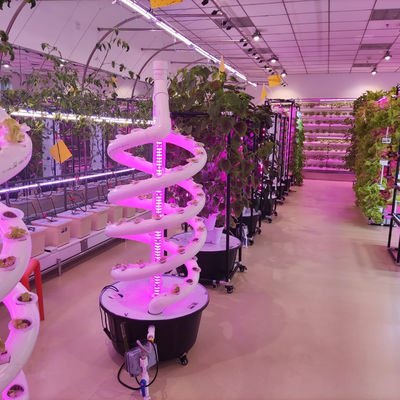 Plante double hélice hydroponique en rotation Agriculture spirale NFT Système hydroponique