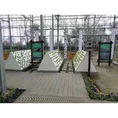 Vente en gros de légumes de culture aéroponique dans des serres à longue portée