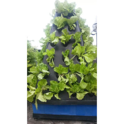 Système d'aéroponie verticale pour la culture de légumes agricoles en serre