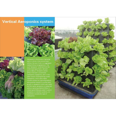 Système d'aéroponie verticale pour la culture de légumes agricoles en serre