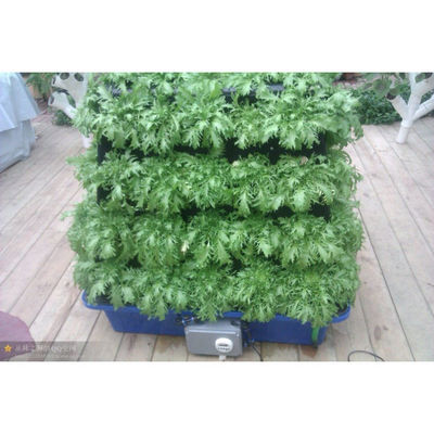 Vente en gros de légumes de culture aéroponique dans des serres à longue portée