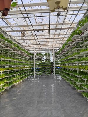 Agriculture verticale végétation suspendue Agriculture hydroponique intelligente