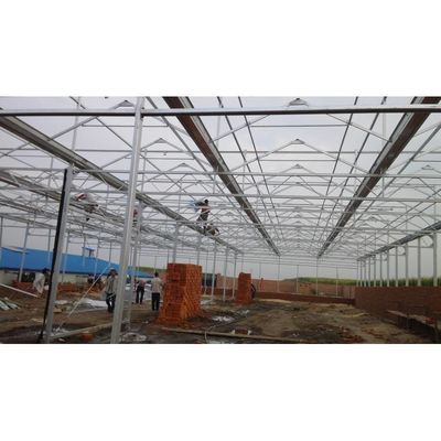 Serre à haute résistance agricole en poly-tunnel