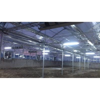 Serre à haute résistance agricole en poly-tunnel