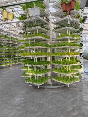 Agriculture verticale végétation suspendue Agriculture hydroponique intelligente