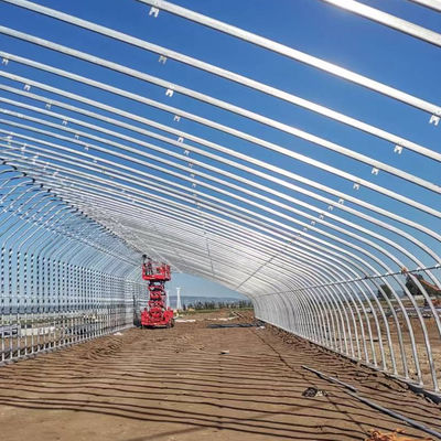Serre solaire Serre en plastique pour la culture des légumes Acier galvanisé