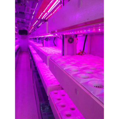 Système d'agriculture verticale hydroponique de culture intelligente