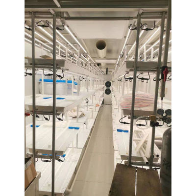Système d'agriculture verticale hydroponique de culture intelligente