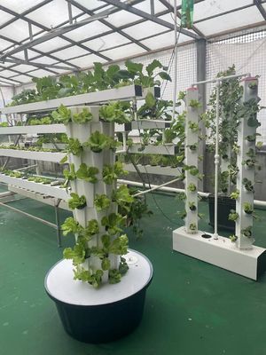 Tournes aéroponiques Système hydroponique vertical Balcon Cultivation végétale sans sol