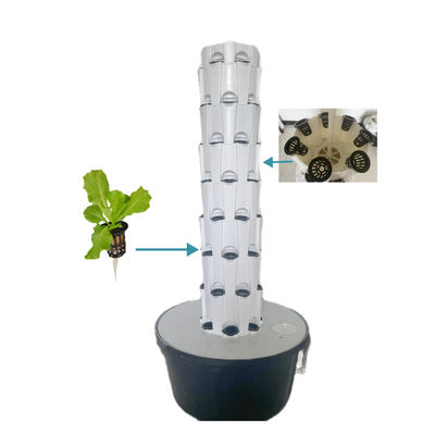 Systèmes hydroponiques de jardinage verticaux Systèmes hydroponiques d'intérieur Plantage d'ananas Type vertical