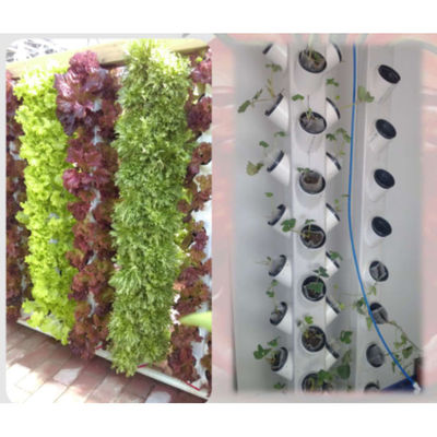 Colonne de brouillard d'eau Cultivation Stand vertical Tour de fleurs en plastique Planteur pots