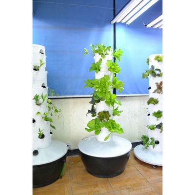 Système de culture hydroponique en gros Prix d'usine Tour avec lumière de croissance LED Système d'aéroponie de jardin