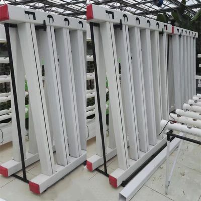 C-Growart Farm Système de culture hydroponique Cultiver sans sol pour la croissance des plantes