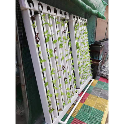 C-Growart Farm Système de culture hydroponique Cultiver sans sol pour la croissance des plantes
