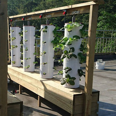 Résidence entièrement automatique petite hydroponie jardin système de culture de plantes verticale à la maison pour le commerce