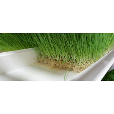 Système d'alimentation verticale automatique pour l'orge