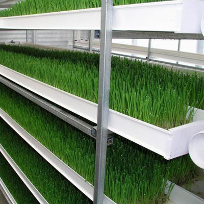 Système d'alimentation verticale automatique pour l'orge