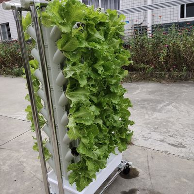 Cultivation sans sol ou sous-produit