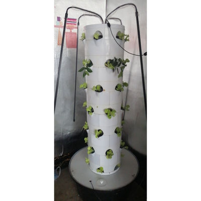 Système de culture hydroponique pour les légumes et les fraises avec lumière LED