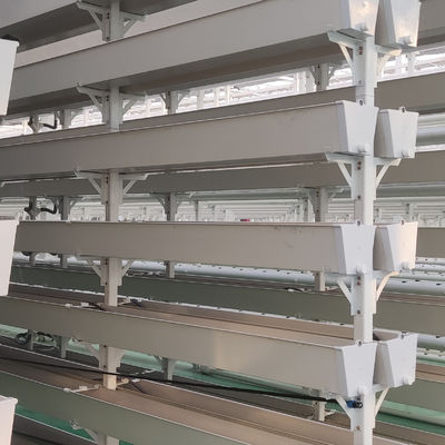 Système de culture verticale de la fraise en PVC pour les fruits
