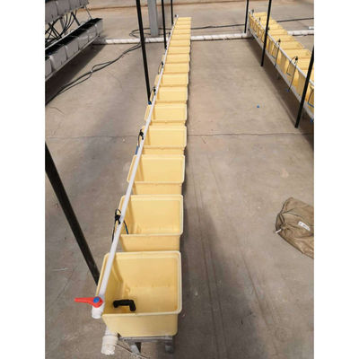 Système hydroponique à seau néerlandais beige durable