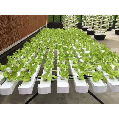 NFT DFT Jardin Système de tour de culture hydroponique verticale