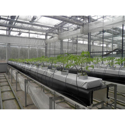 Équipement de culture hydroponique de PVC et de Cocopeat de qualité alimentaire
