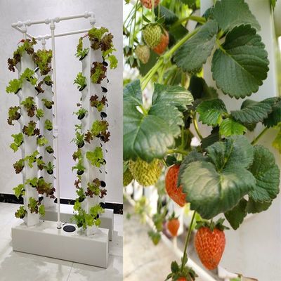 Hydroponie intelligente Jardin verticale Plantation de plantes à base de plantes Système de culture NFT