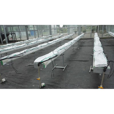Équipement de culture hydroponique de PVC et de Cocopeat de qualité alimentaire