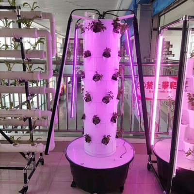 Nouveau système de culture hydroponique verticale pour les légumes et les fraises avec LED