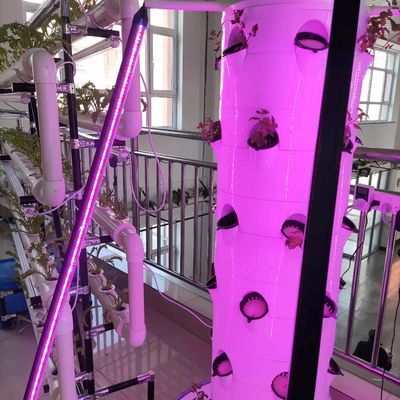 Nouveau système de culture hydroponique verticale pour les légumes et les fraises avec LED