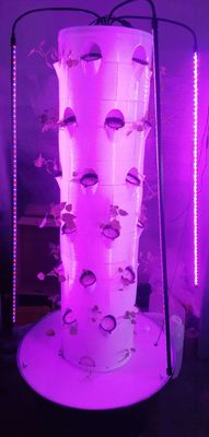Nouveau système de culture hydroponique verticale pour les légumes et les fraises avec LED