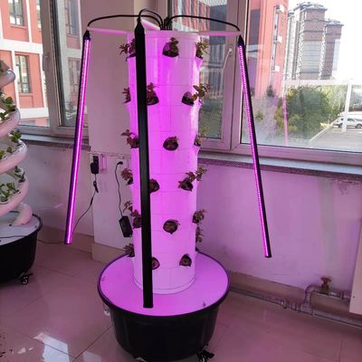 Nouveau système de culture hydroponique verticale pour les légumes et les fraises avec LED