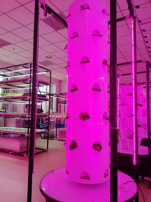 Nouveau système de culture hydroponique verticale pour les légumes et les fraises avec LED