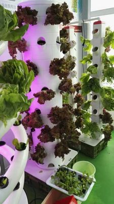 6p10 Système hydroponique verticale jardin tour légumes d'intérieur jardin tour jardin système aéroponique