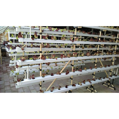 Nouveau système de serre hydroponique NFT avec des kits de culture de tuyaux en PVC à l'intérieur et dans le jardin
