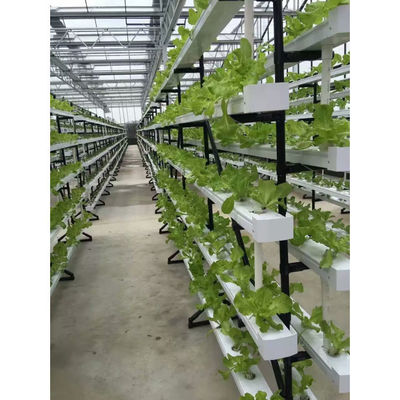 Nouveau système de serre hydroponique NFT avec des kits de culture de tuyaux en PVC à l'intérieur et dans le jardin