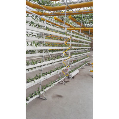 Nouveau système de serre hydroponique NFT avec des kits de culture de tuyaux en PVC à l'intérieur et dans le jardin