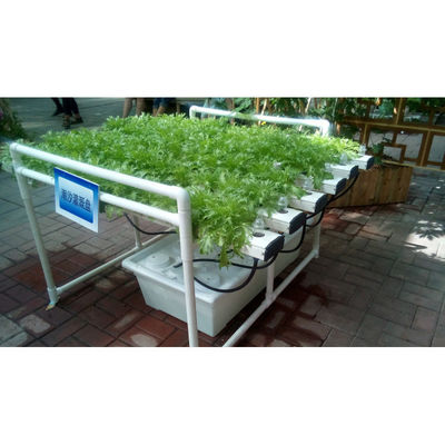 Nouveau système de serre hydroponique NFT avec des kits de culture de tuyaux en PVC à l'intérieur et dans le jardin