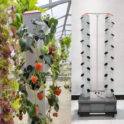 Système de plantation hydroponique à colonne verticale parfaite