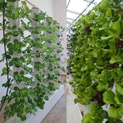 Système de plantation hydroponique à colonne verticale parfaite