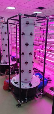 Système hydroponique Tour aéroponiqueJardin hydroponique rotatif Pour les légumes à feuilles