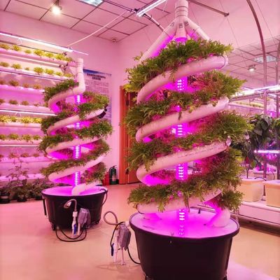 Système de culture hydroponique verticale en jardin intérieur à double hélice