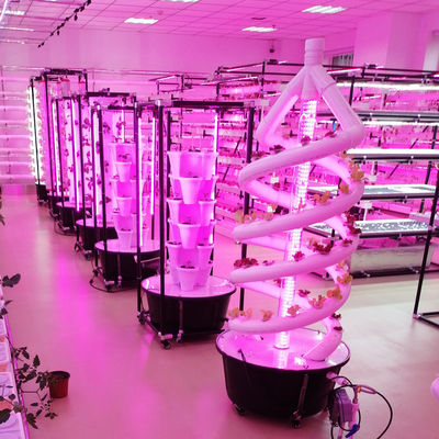 Plante double hélice hydroponique en rotation Agriculture spirale NFT Système hydroponique
